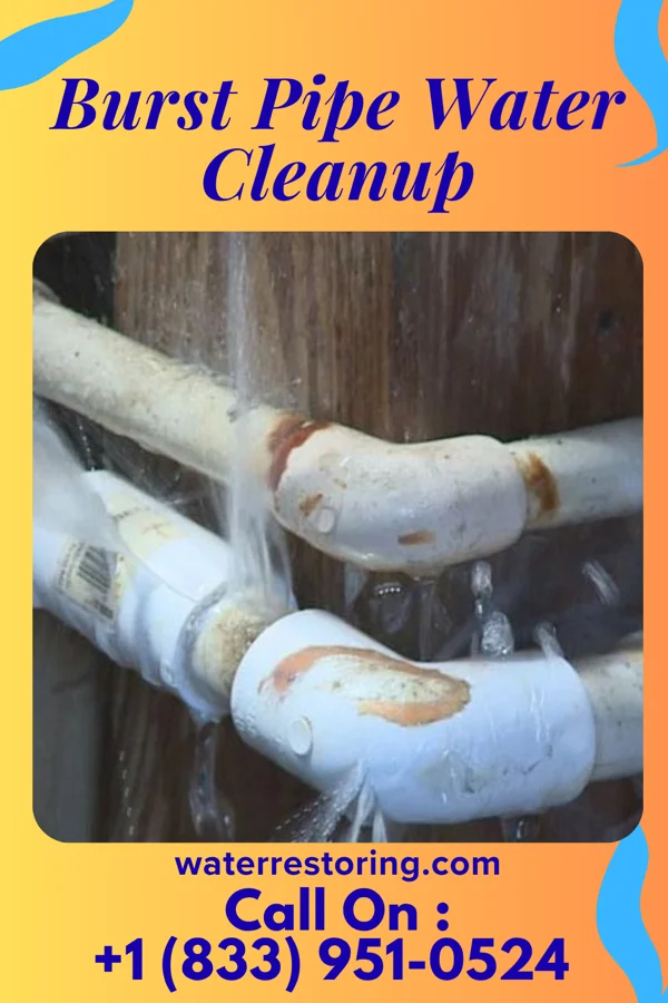 Burst Pipe Water Cleanup in Plaquemine, LA